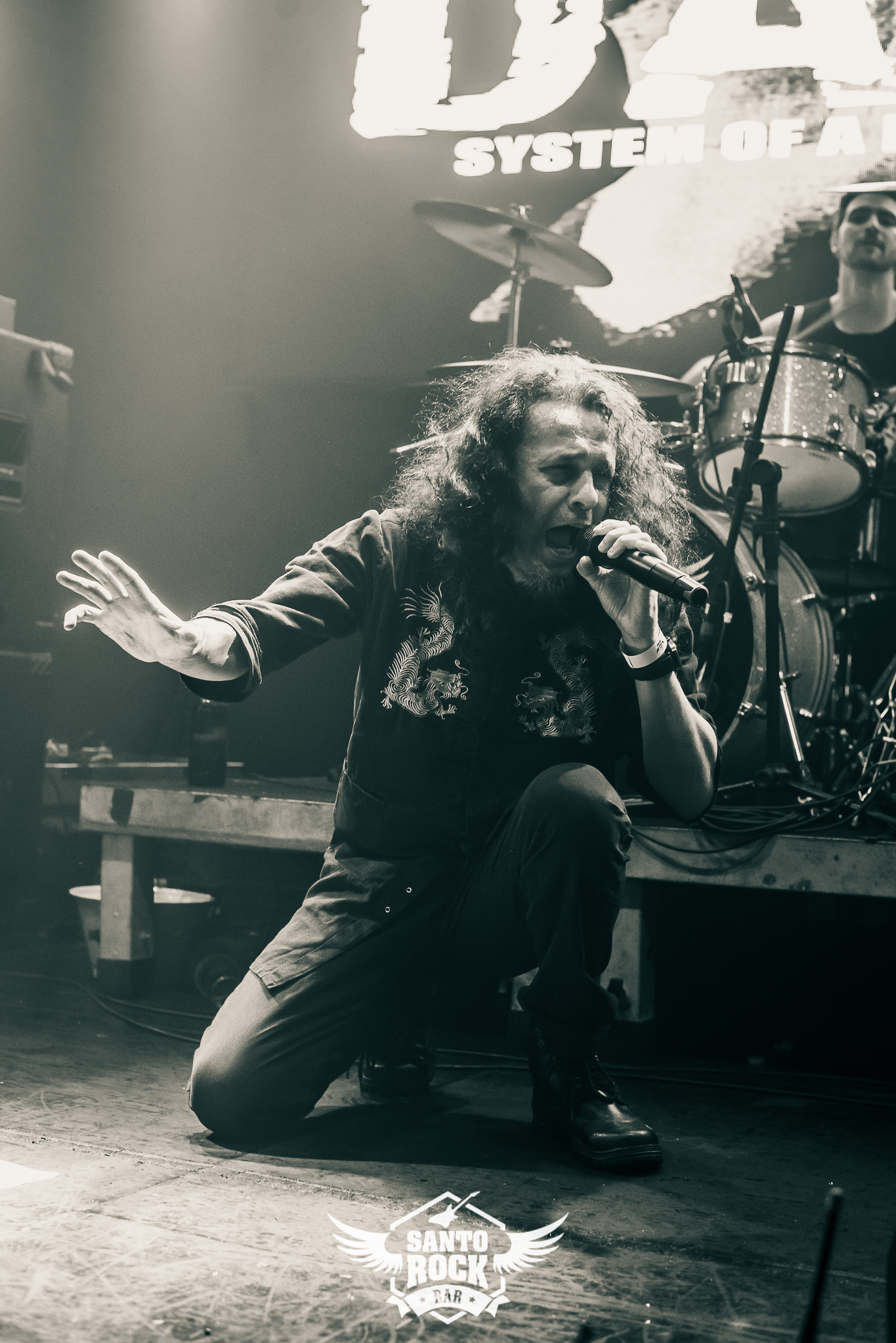 D.A.O.S / The Bleeding