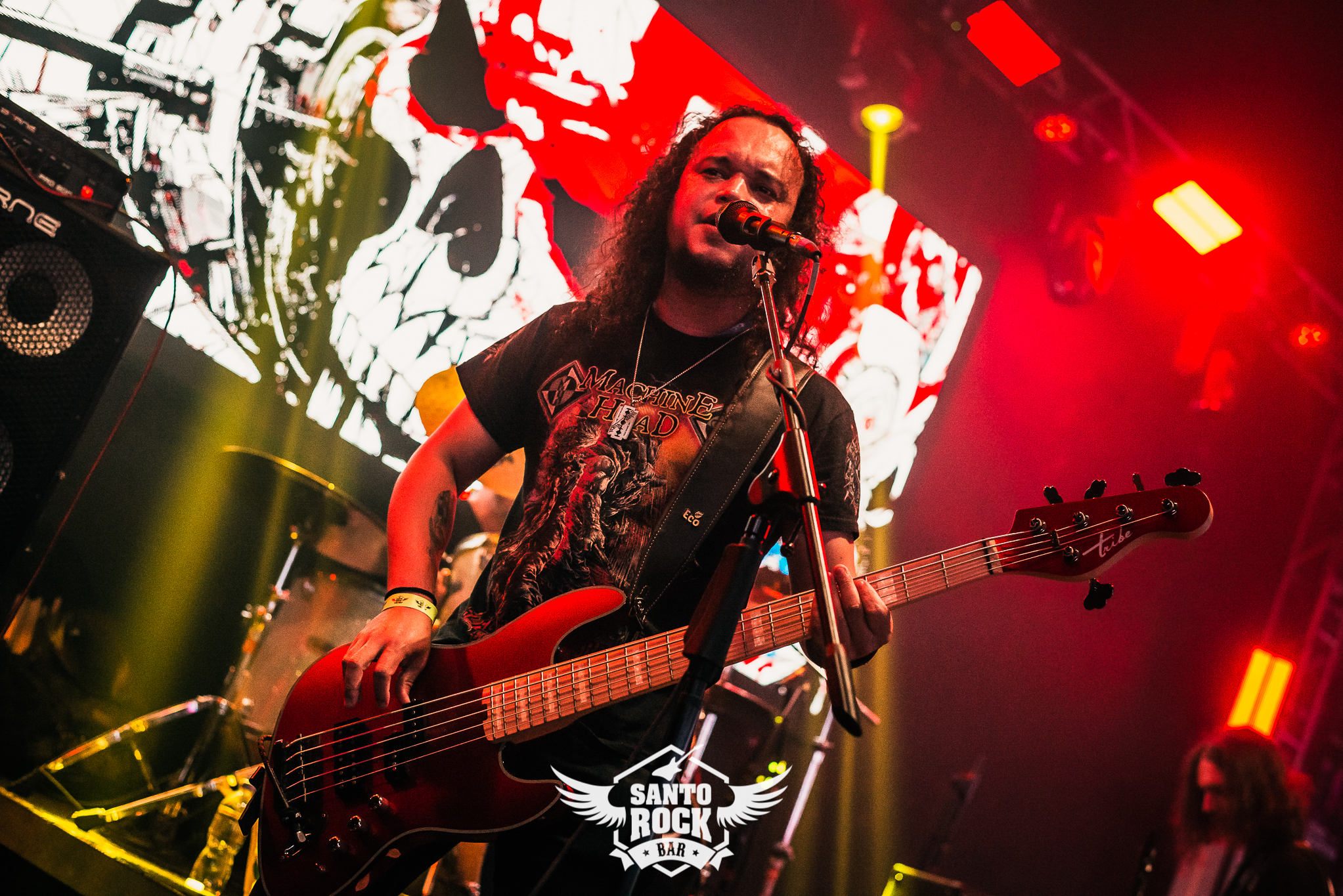 D.A.O.S / The Bleeding